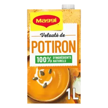 MAGGI Liquid Soup Pumpkin Brick 6x1L FR