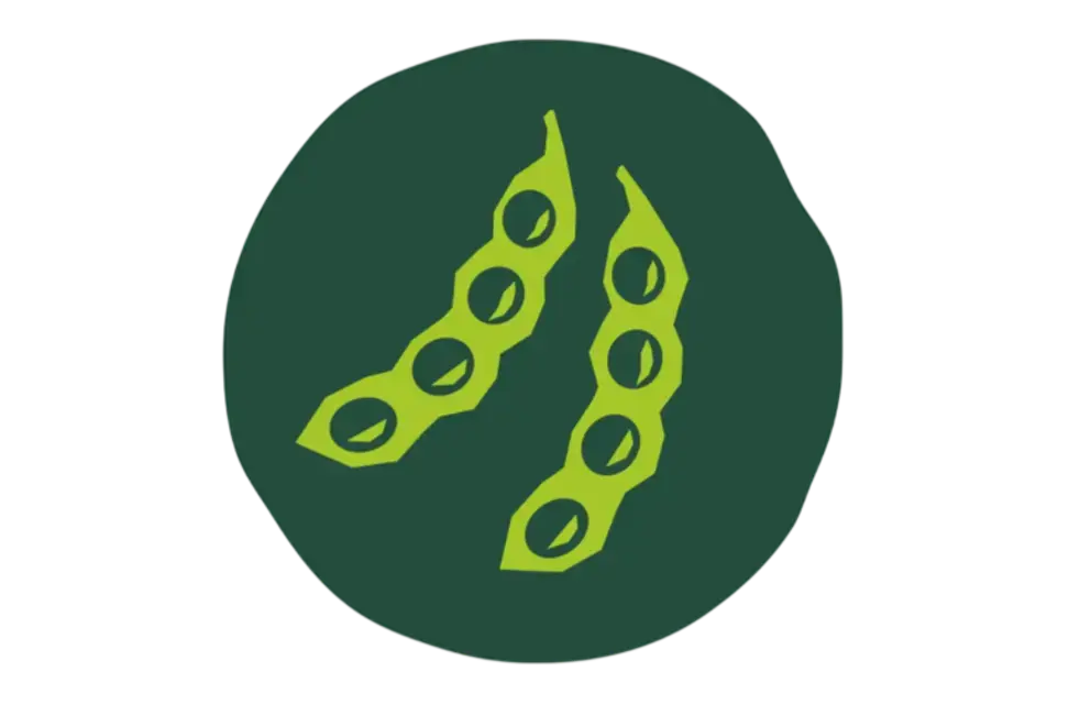 Soy icon