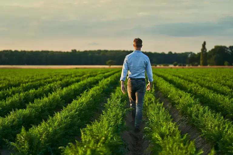 Découvrez les histoires des agriculteurs partenaires de MAGGI®