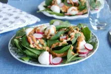 Salade de pousses d'épinards et feta, sauce au yaourt, tomate et basilic
