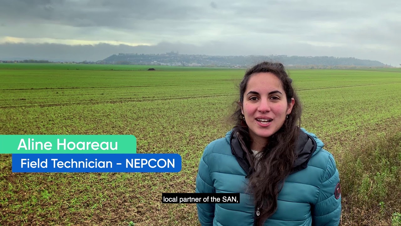 Preview image for the video "Creating Shared Value for onion producing farms in France (Sodeleg)".