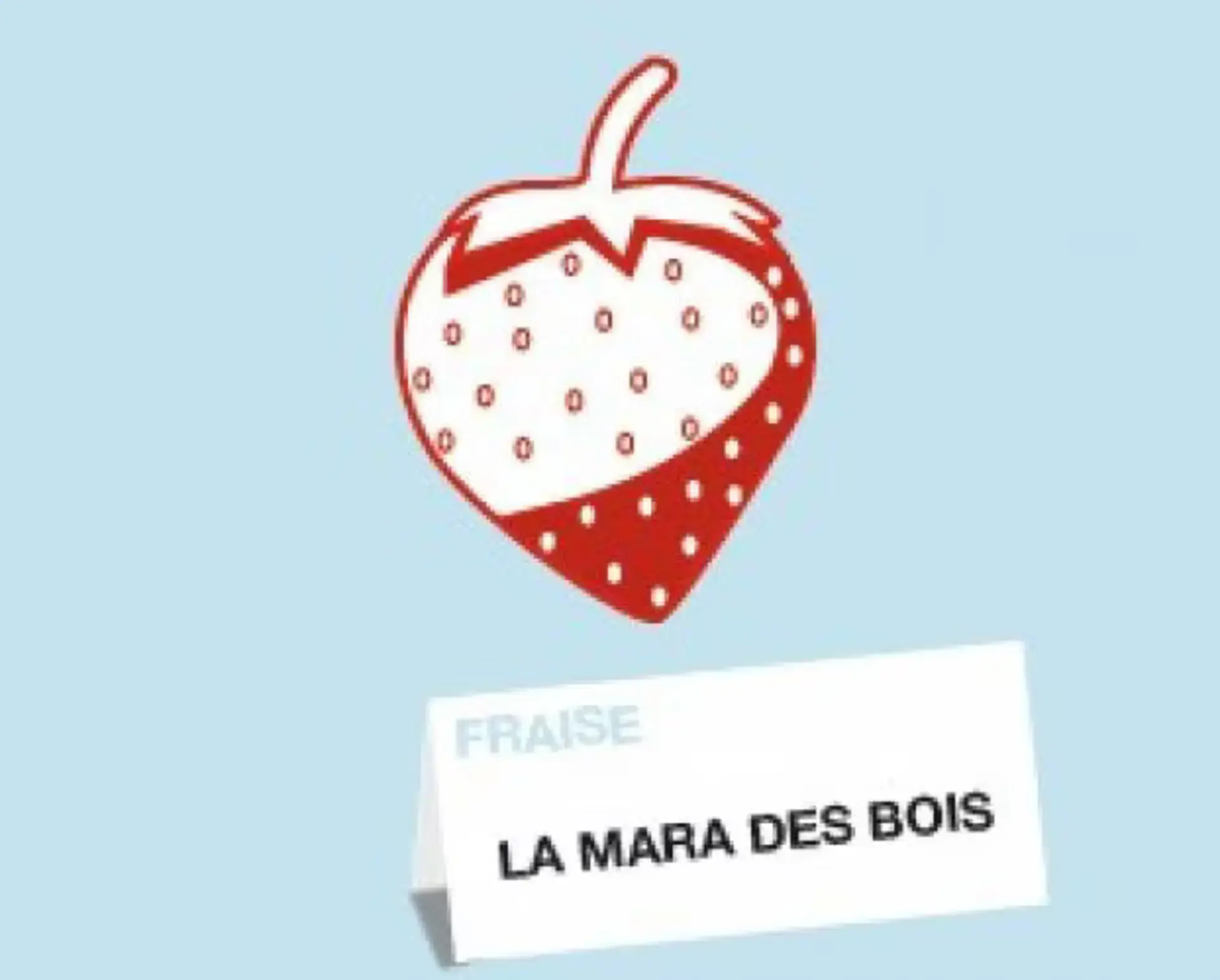 goodnes-france