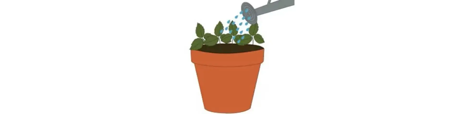 Step4