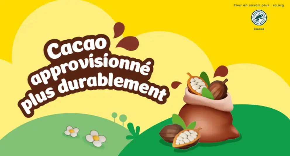 Cacao durable