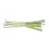 image of Lemon grass (citronella), raw