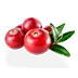 image of Cranberries, raw